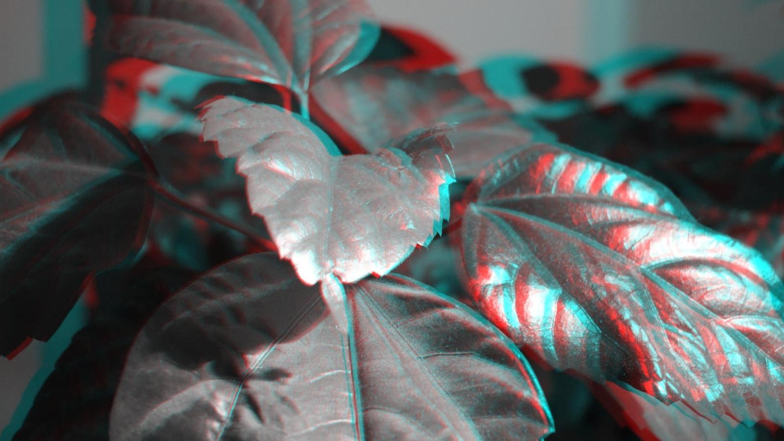 Nikon Coolpix P7700: silnější než kdy předtím