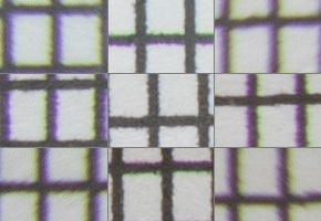 Canon EF-S 18-135mm f/3.5-5.6 IS Nano USM