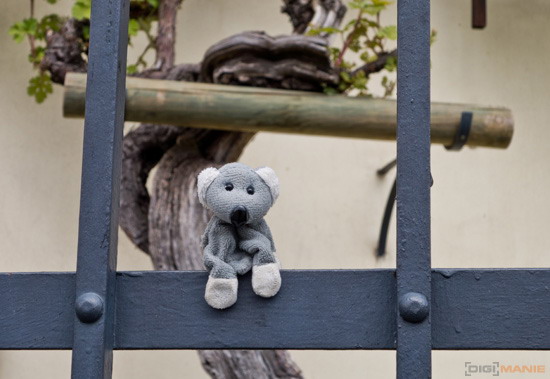 Koala cestuje: Slovinsko 1. díl (Maribor a Lublaň)