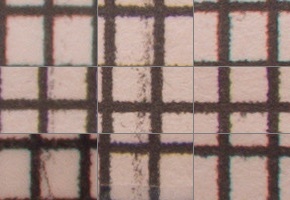 Olympus M.Zuiko Digital ED 12-50mm 1:3,5-6,3 EZ