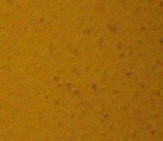 Lumix LZ2: stabilizovaná miniatura