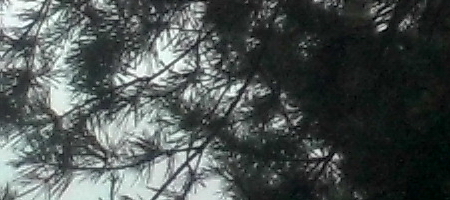 Genius G-Shot 510: vodník za pár korun