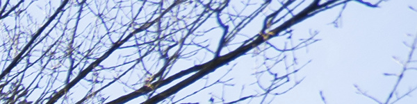 Panasonic Lumix S 18mm F1.8