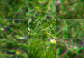 Tamron 16-300mm f/3.5-6.3 Di II VC PZD Macro