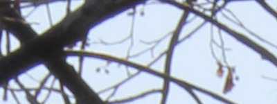 Megatest ultrazoomových objektivů