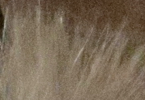 Canon PowerShot G15: lépe už to (asi) nepůjde