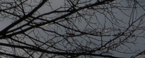 Panasonic Leica DG Vario-Summilux 25-50mm F1.7 ASPH.