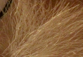 Nikon Coolpix A: velmi příjemná (ne)výraznost