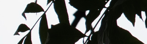 Panasonic Lumix S Pro 70-200mm F4 O.I.S.