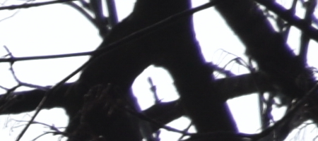 Nikon AF-S DX NIKKOR 16-85mm f/3.5-5.6G ED VR