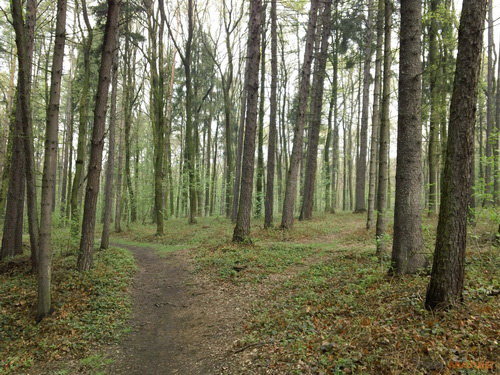 Sony Bloggie Touch: videokamera fotoaparátem?