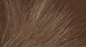 Nikon D3300: drobek se silným srdcem