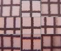 Nikon Coolpix P100: nejrychlejší ultrazoom