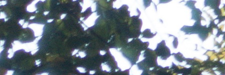 Sony Cyber-shot RX100 III (RX100M3): superSony