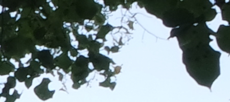 Samsung 16-50mm 1:3.5-5.6 ED OIS Power Zoom