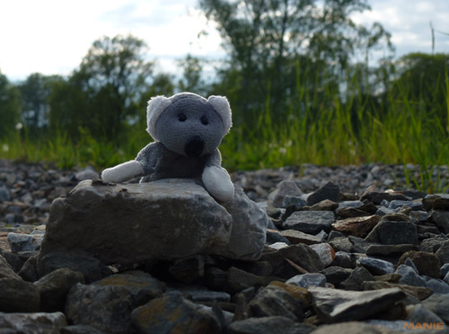 Fotíme s Koalou: Blesk