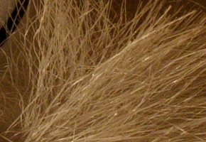 Nikon Coolpix A: velmi příjemná (ne)výraznost