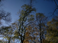 Fotíme mobilem: Panoramata jako nepřekonatelný problém?