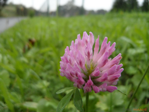 Samsung WB210: dotkněte se 21 milimetrů!