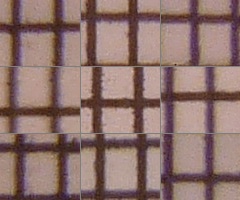 Panasonic Lumix TZ10: kapesní dělo