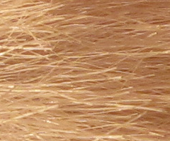 Canon PowerShot G10: stále mezi nejlepšími