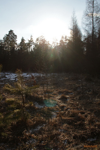 Megatest ultrazoomových objektivů