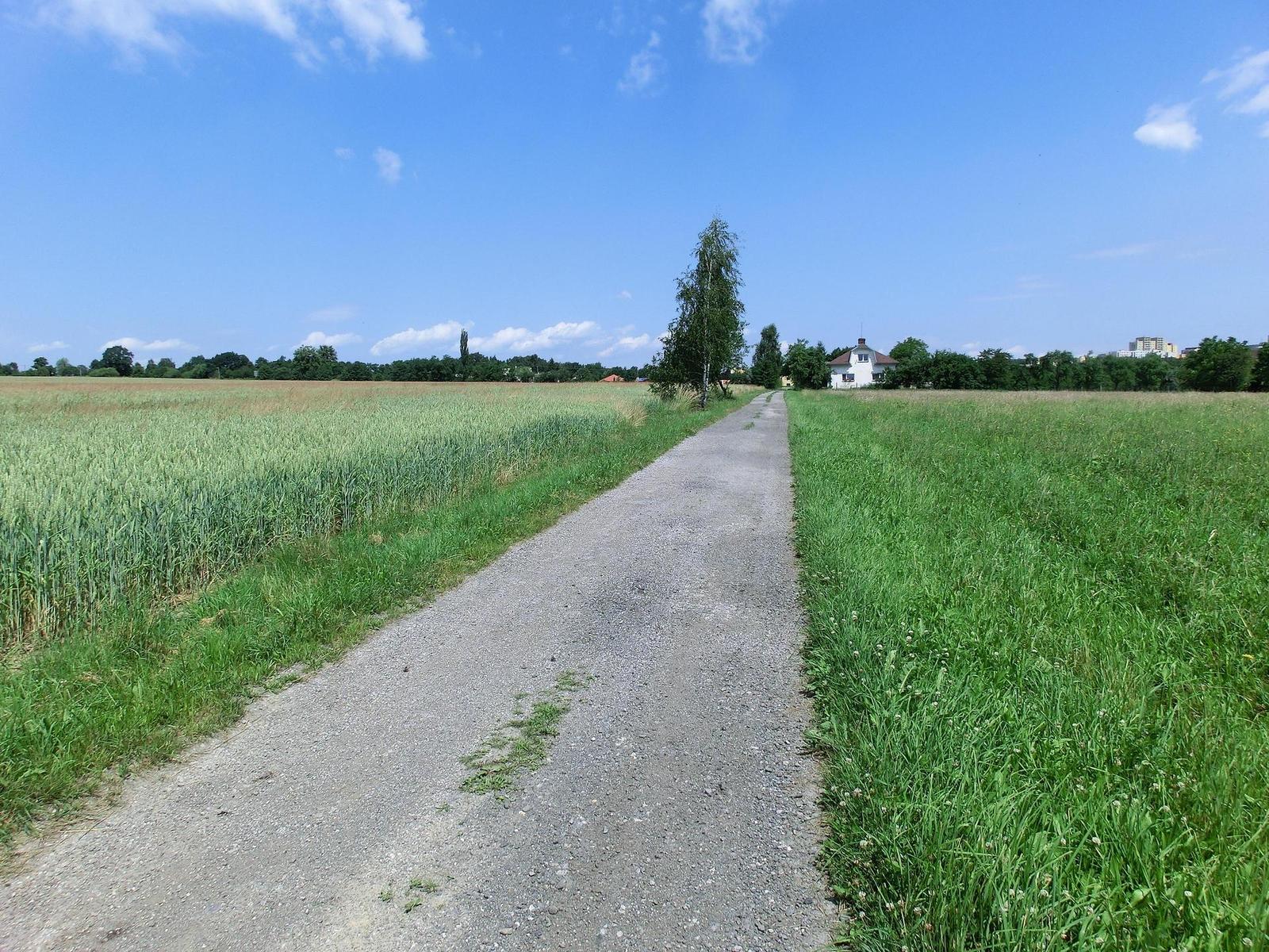 Casio EXILIM ZR100: kapesní formule