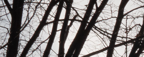 Panasonic Leica DG Vario-Summilux 10-25mm F1.7 ASPH.