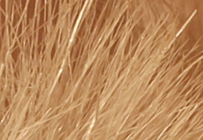 Canon EOS 60D: na pomezí dvou světů