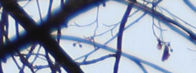 Megatest ultrazoomových objektivů