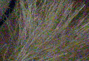 Sony SLT-A58: silný základ