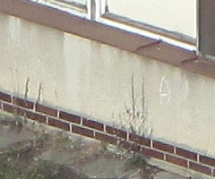 Canon PowerShot SX1 IS vs. SX10 IS: souboj CMOS a CCD