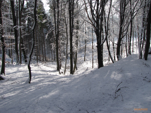 Canon PowerShot SX1 IS vs. SX10 IS: souboj CMOS a CCD