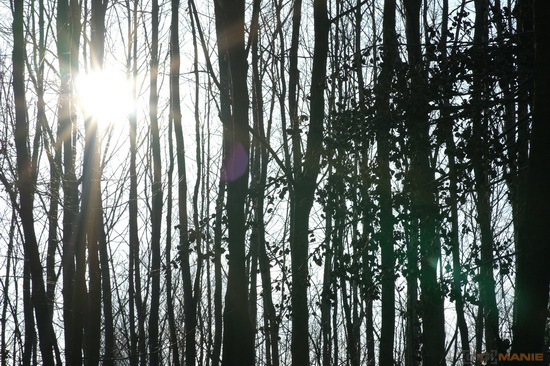 Samsung 85mm F1.4 ED SSA