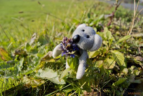 Fotíme s Koalou: Makro a telemakro