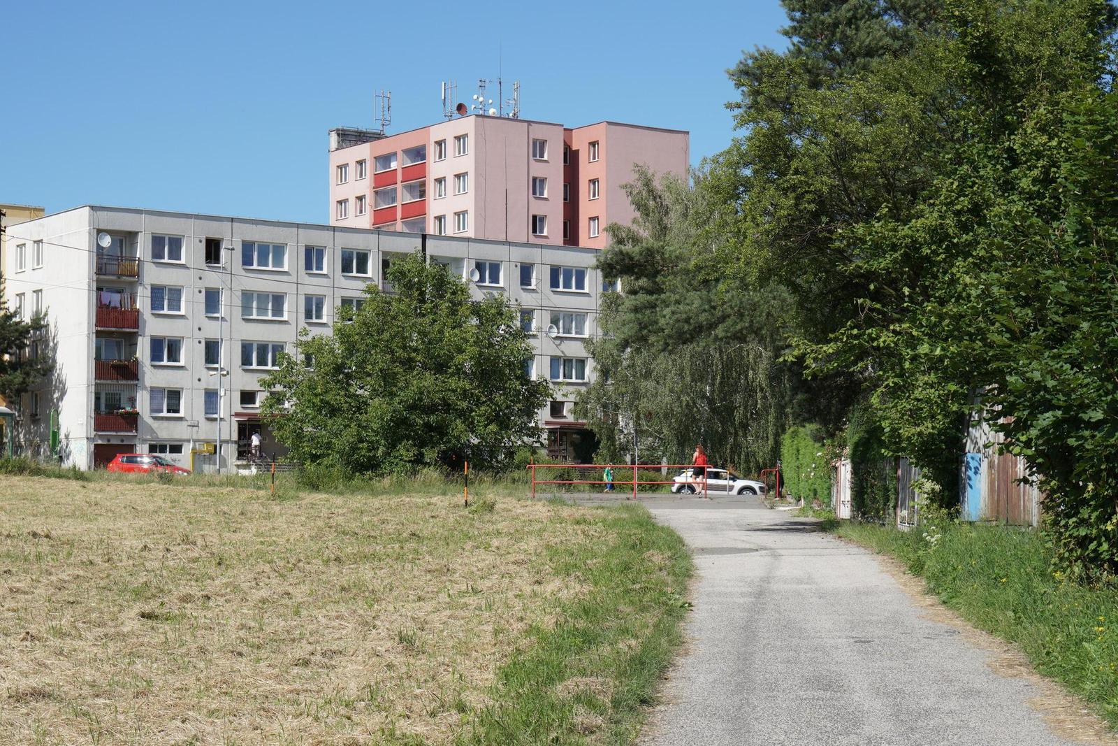 Sony Carl Zeiss Vario-Tessar T* 16-70mm F4 OSS (SEL1670Z)