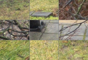 Sony Cyber-shot RX100 VII: nejlepší přítel cestovatele