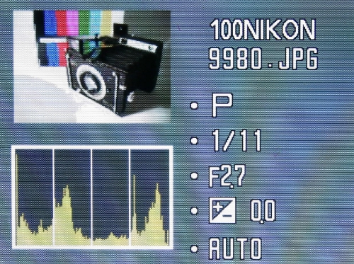 Nikon Coolpix P5100: trpělivý profesionál