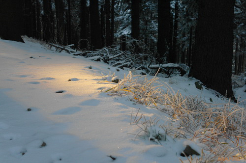 Samsung NX100: "zrcadlovka" do kapsy