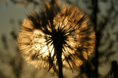 Zrcadlovka a já: Malé letní téma