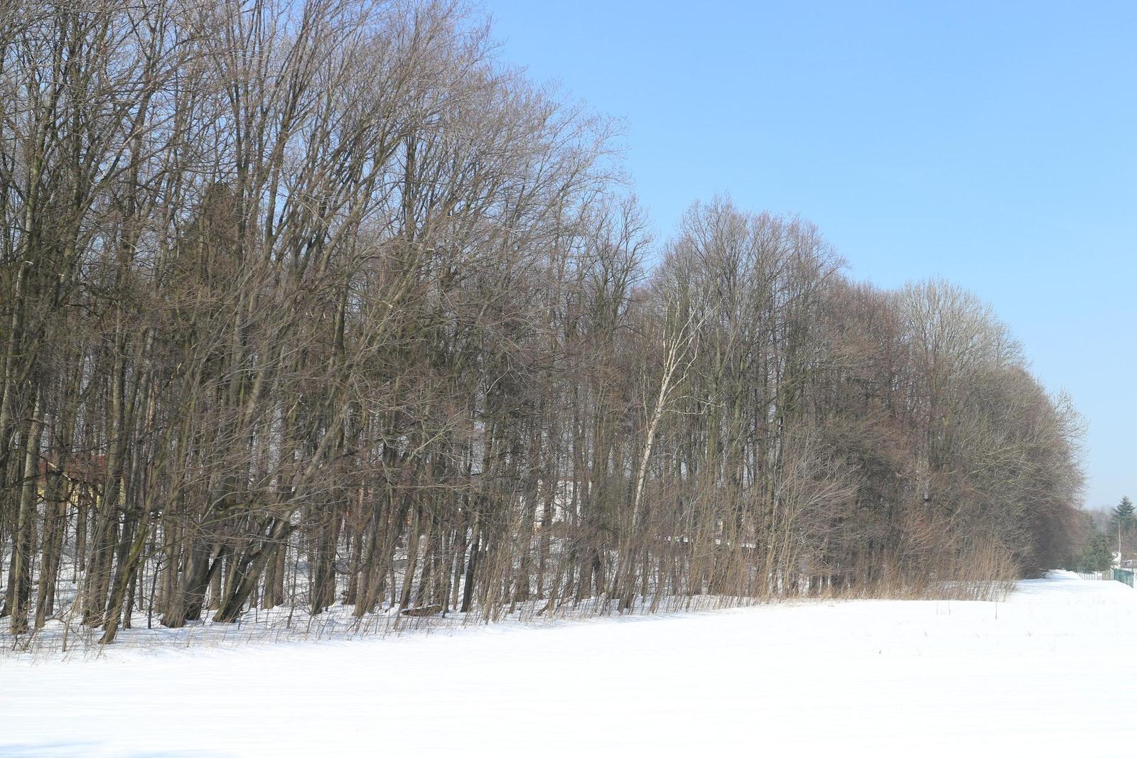 Canon EF-M 18-55mm 1:3.5-5.6 IS STM