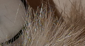 Panasonic Lumix LX100: pozoruhodný profi kompakt