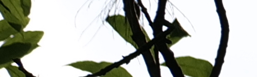 Panasonic Lumix S Pro 70-200mm F4 O.I.S.