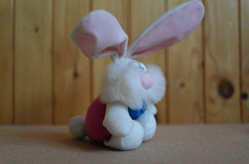 Fotíme s Koalou: Lesk a bída sekvenčního snímání