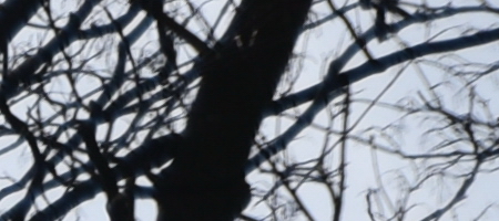 Nikon AF-S DX NIKKOR 16-85mm f/3.5-5.6G ED VR