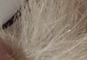 Sony Cyber-shot RX100: terminátor zrcadlovek