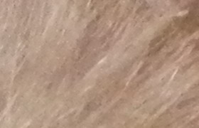 Nikon Coolpix S9100: rudý bojovník