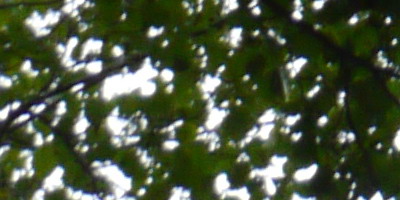 Panasonic Lumix G Vario 14-42mm F3,5-5,6 APSH.