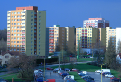 Nikon Coolpix L100: lovec hmyzu