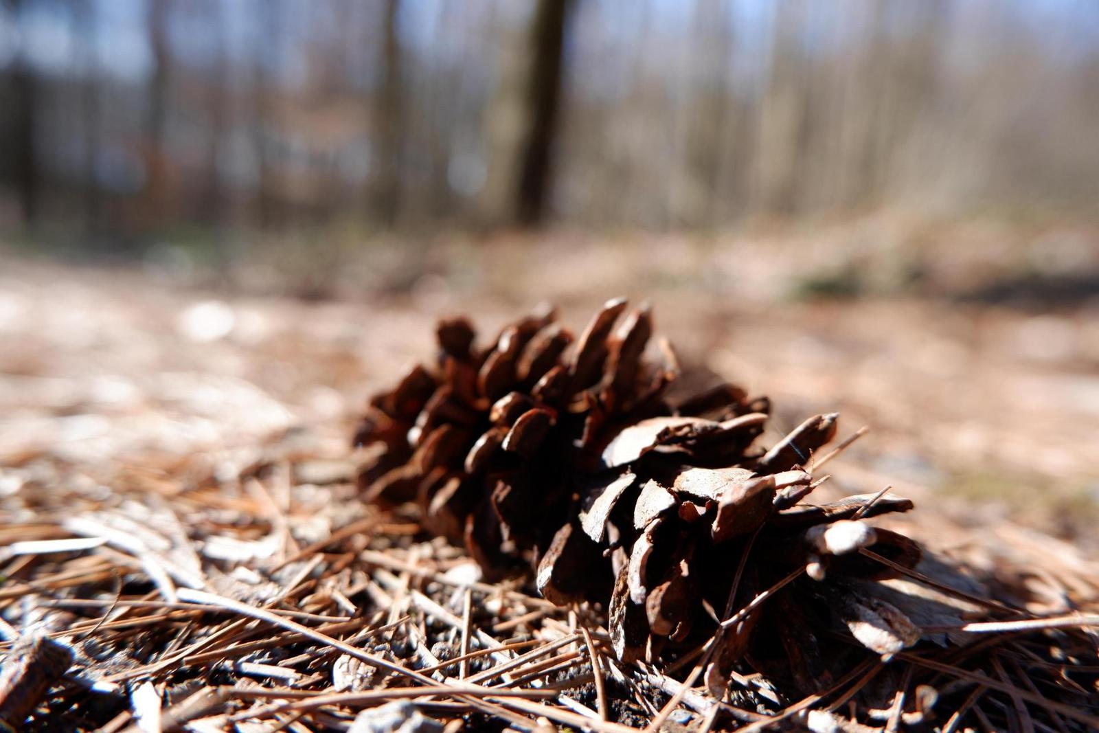 Fujinon XC 15-45mm 1:3.5-5.6 OIS PZ